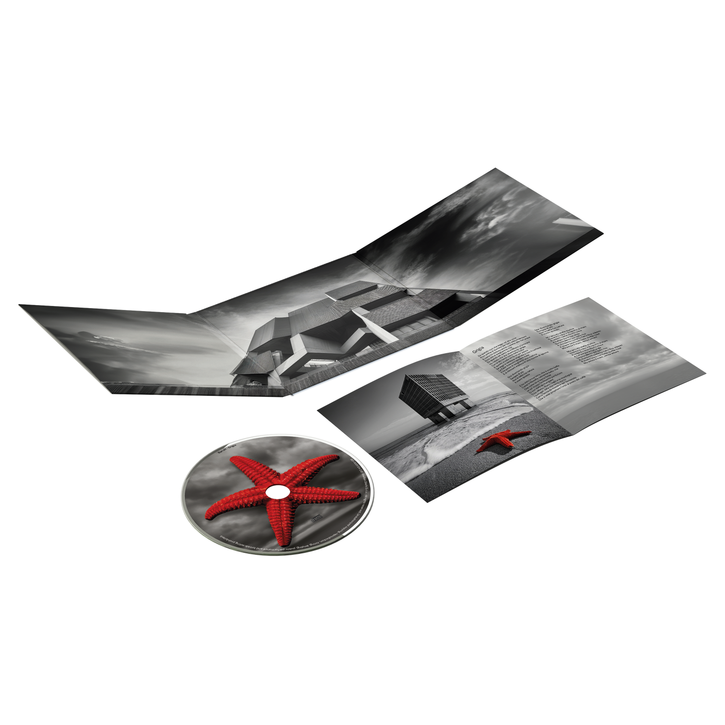 Bandit - Grigia (CD)