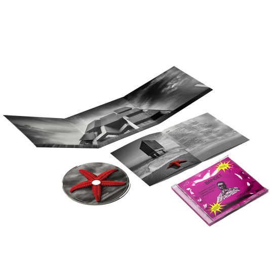 Bandit bundle: Quando la luce grande della discoteca + Grigia