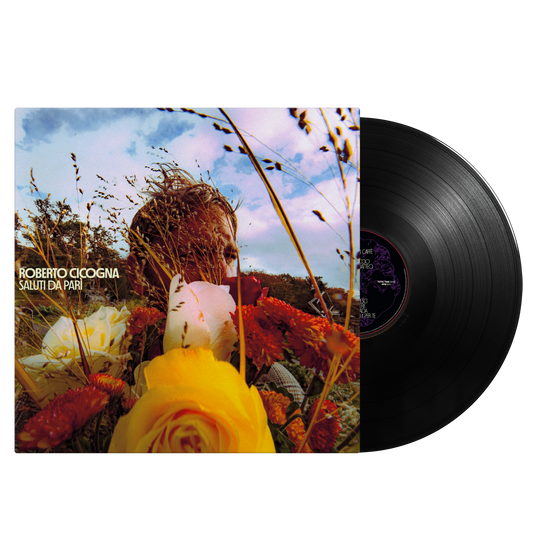 Roberto Cicogna - Saluti da Parì (LP nero)